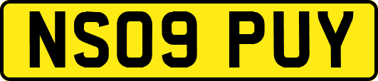 NS09PUY