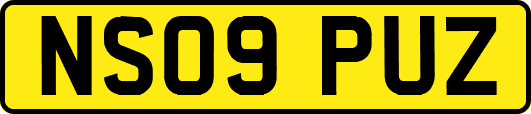 NS09PUZ