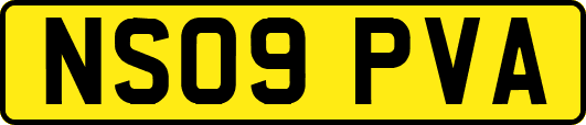 NS09PVA