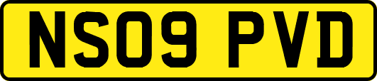 NS09PVD