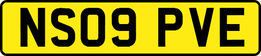 NS09PVE
