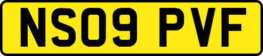 NS09PVF