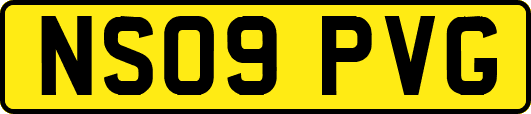 NS09PVG