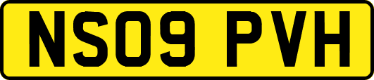 NS09PVH