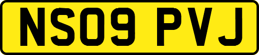 NS09PVJ