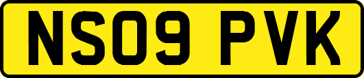 NS09PVK