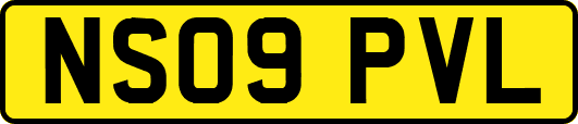 NS09PVL