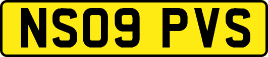 NS09PVS