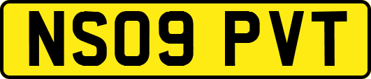 NS09PVT