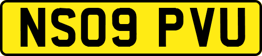 NS09PVU