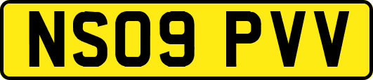 NS09PVV