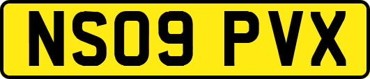 NS09PVX
