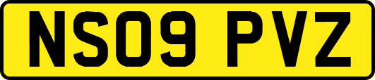 NS09PVZ