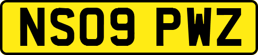 NS09PWZ