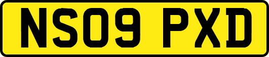 NS09PXD