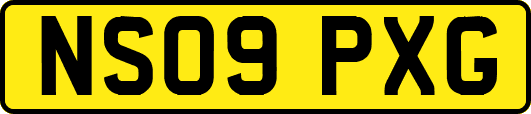 NS09PXG