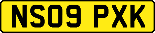 NS09PXK