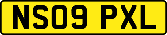 NS09PXL
