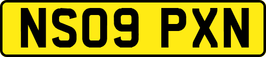 NS09PXN