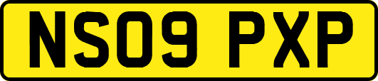 NS09PXP