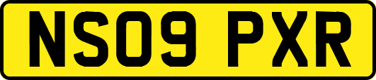 NS09PXR