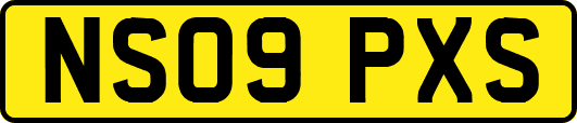 NS09PXS