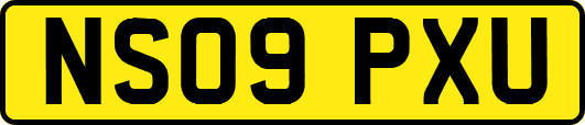 NS09PXU