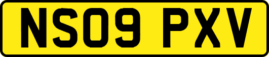 NS09PXV