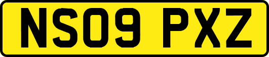 NS09PXZ