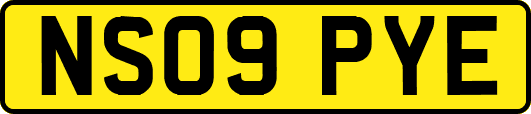 NS09PYE