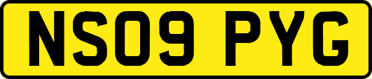 NS09PYG