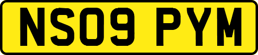 NS09PYM