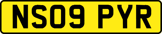 NS09PYR