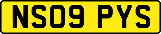 NS09PYS