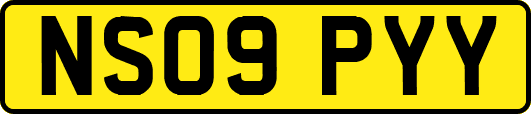 NS09PYY