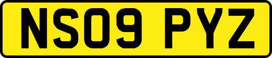 NS09PYZ