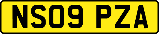 NS09PZA