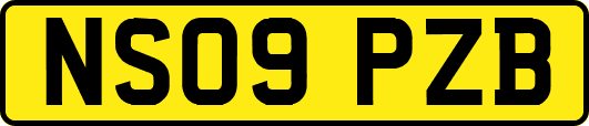 NS09PZB