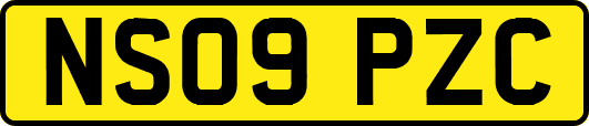 NS09PZC