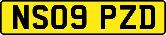 NS09PZD