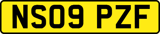 NS09PZF