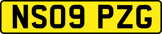 NS09PZG