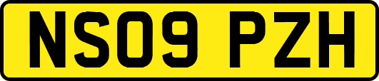 NS09PZH