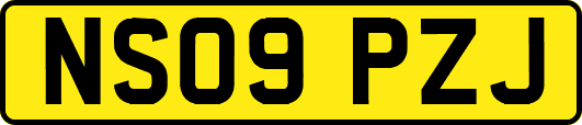 NS09PZJ