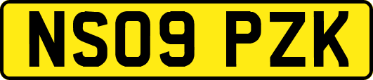 NS09PZK