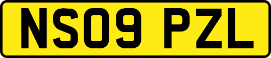 NS09PZL