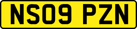 NS09PZN