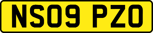 NS09PZO