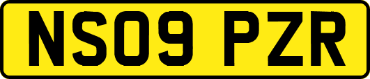 NS09PZR