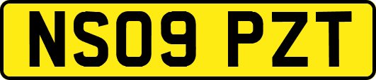 NS09PZT